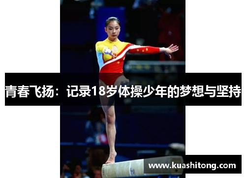 青春飞扬：记录18岁体操少年的梦想与坚持