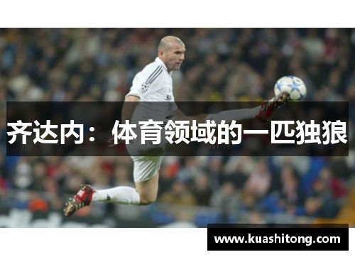 齐达内：体育领域的一匹独狼